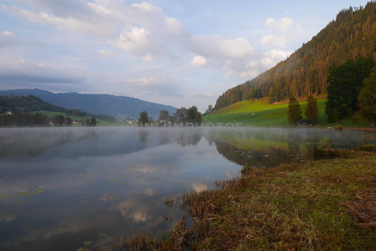 Putterersee in the morning haze