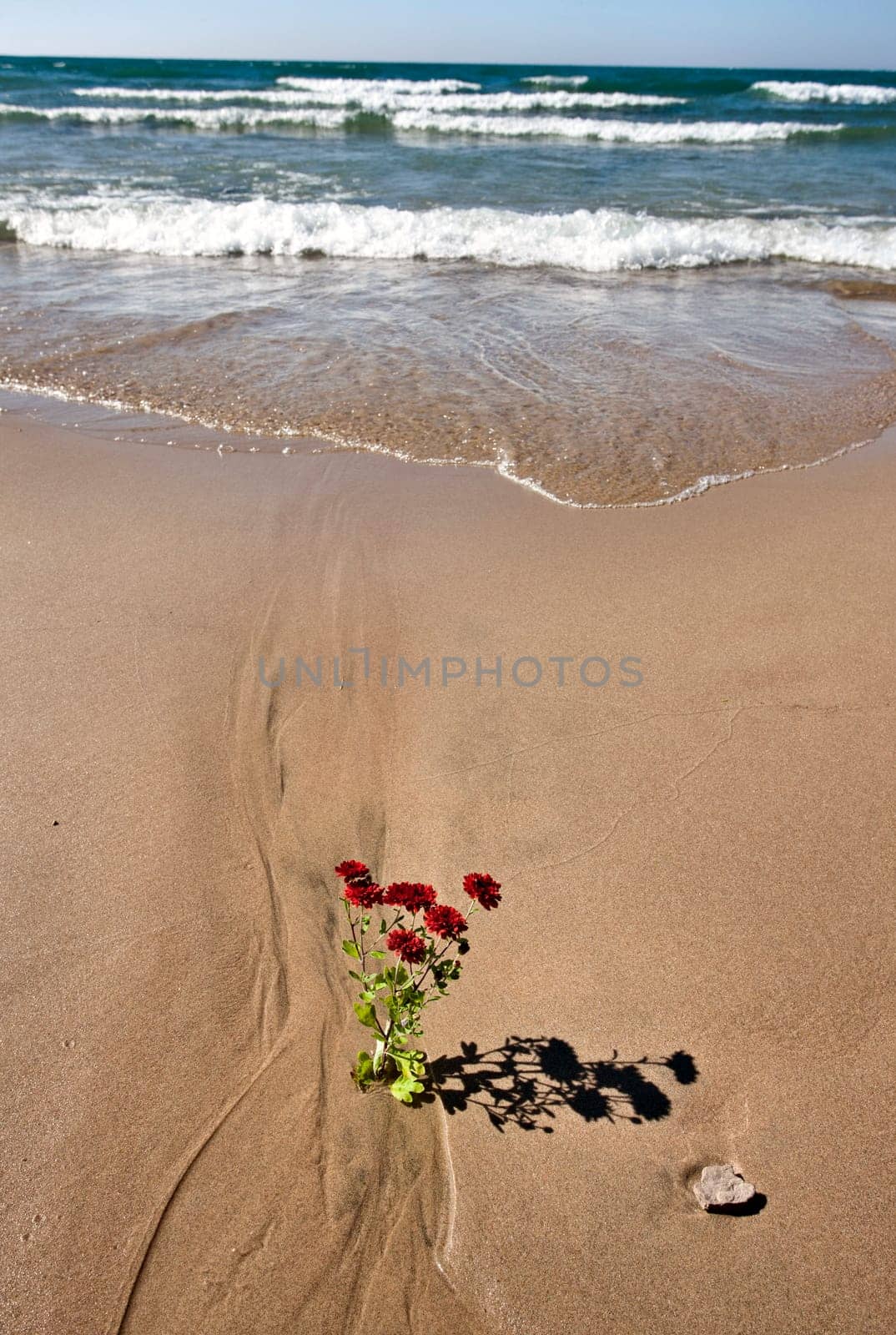 Shoreline Lake Huron Ontario Canada beach waves