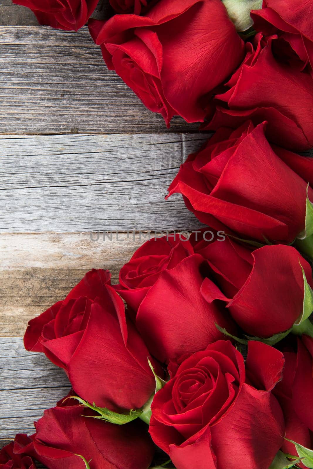 Romantic red roses for a special occasions on a wooden background with copy space.