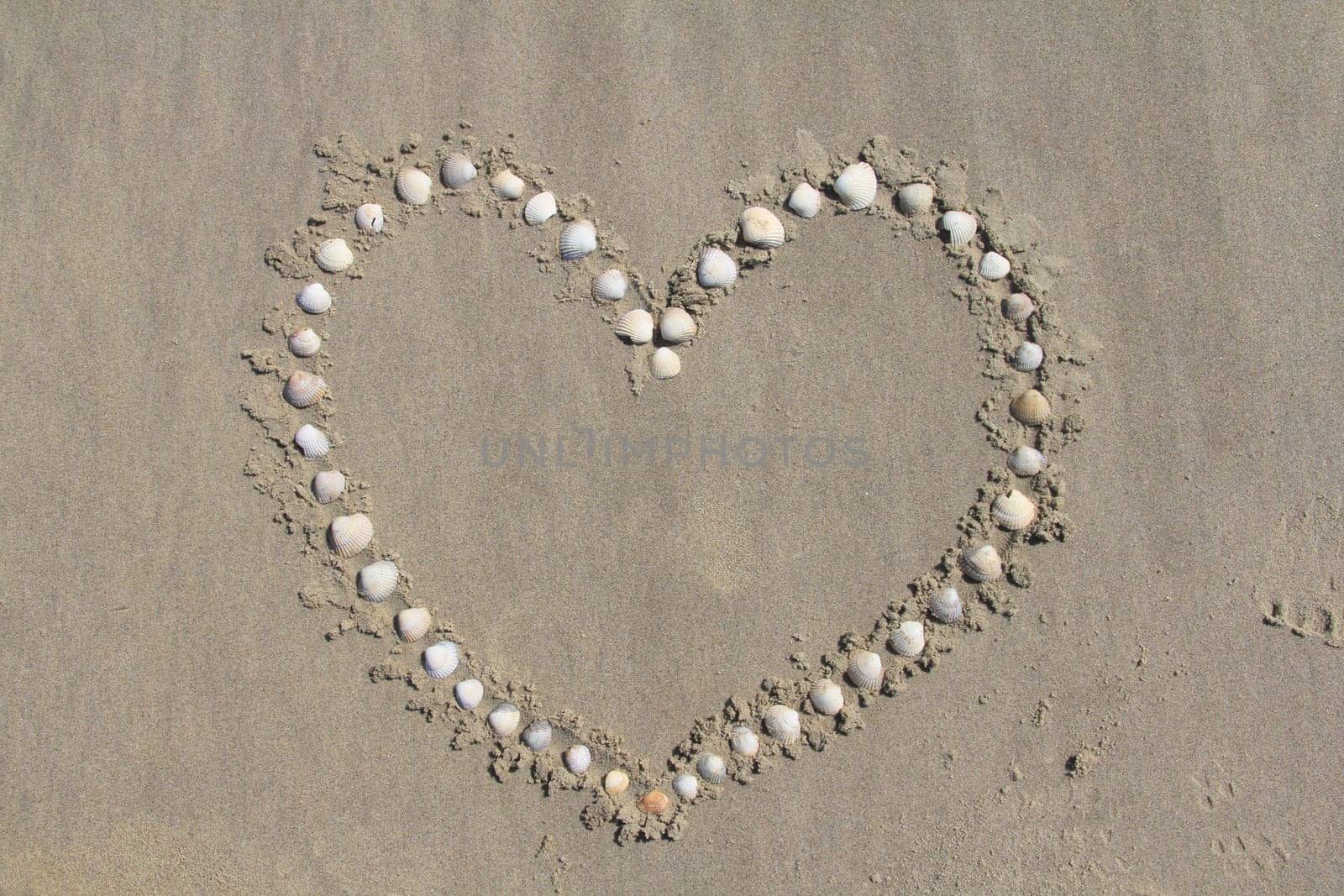 A heart formed from mussel shells.