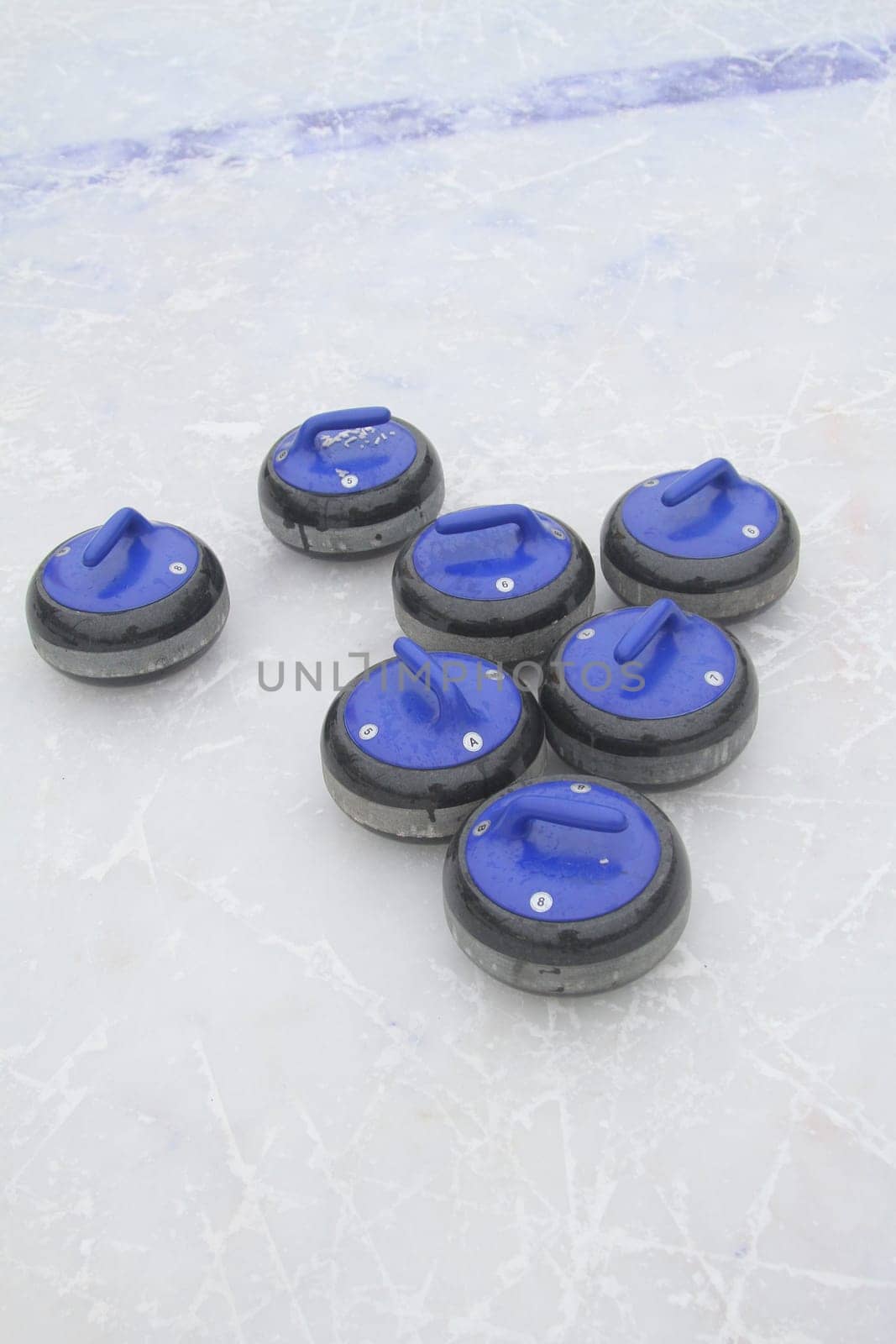 Curling. Club curling fans.