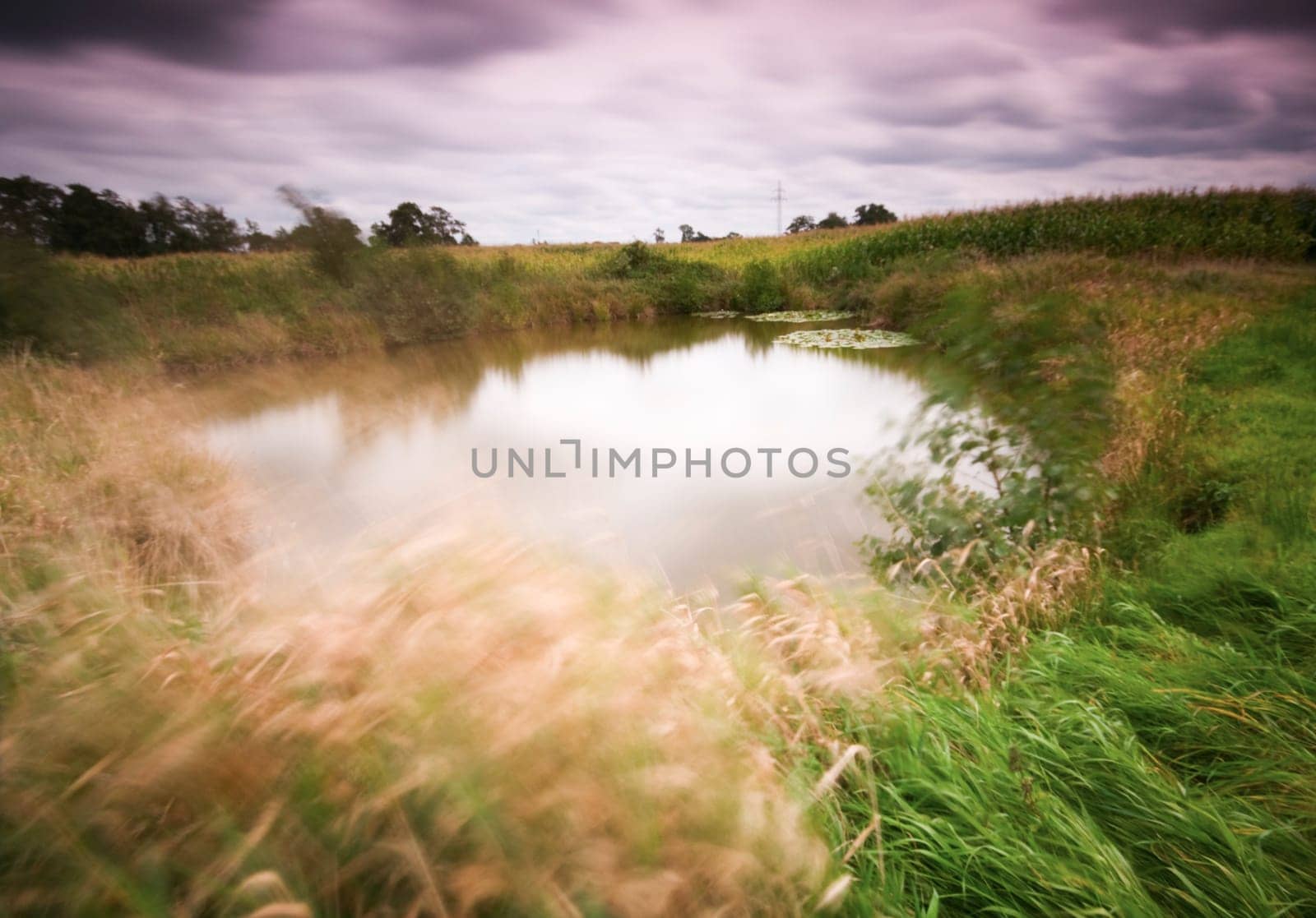 Wide-angle long exposure of a small pond on a meadow landscape.
