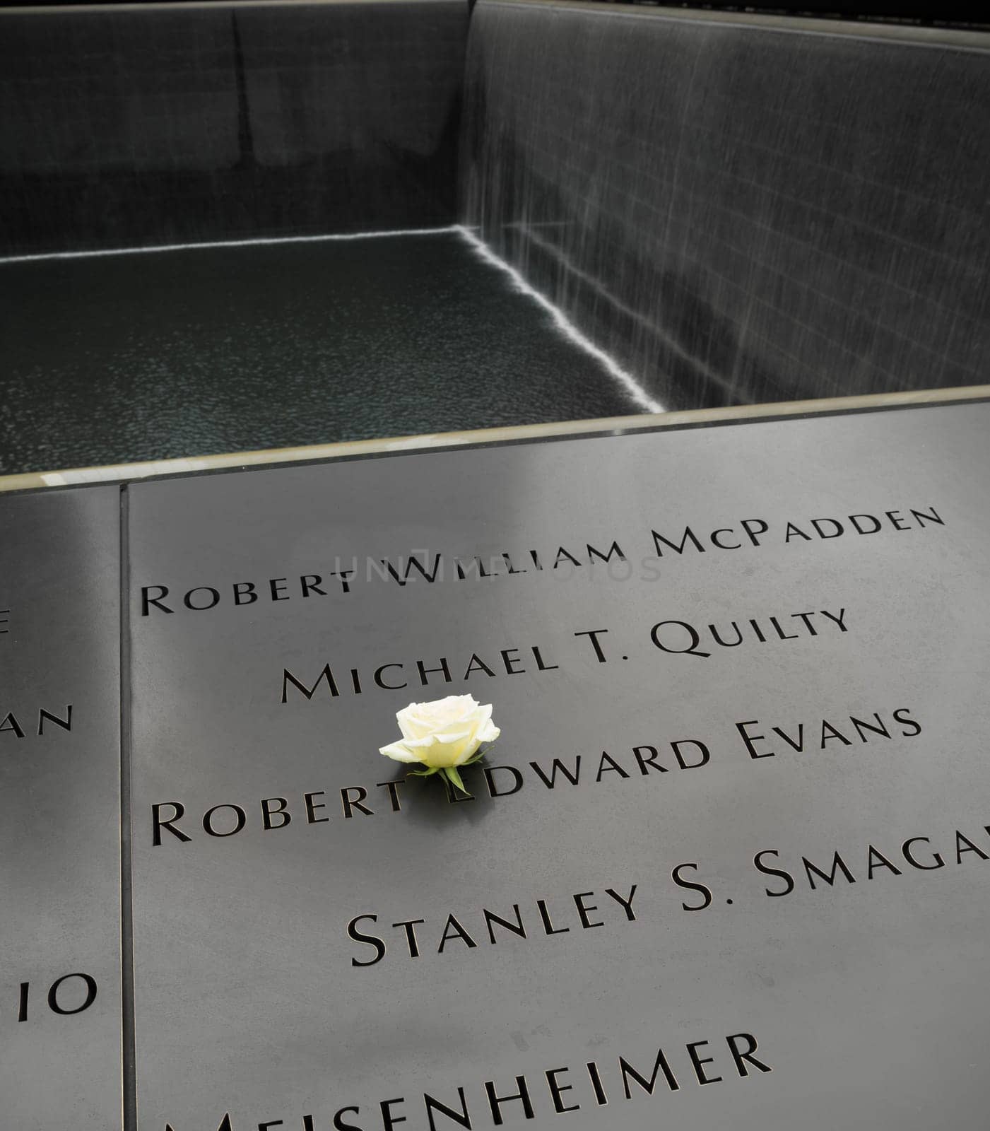 NEW YORK - APRIL 27, 2016: Names panels with a white rose at the 9/11 Memorial site in Manhattan