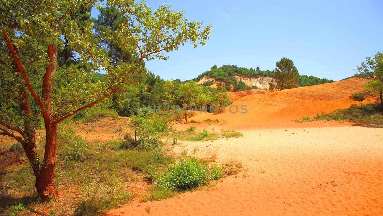 Ochre cliffs in Rustrel in Rustrel, Colorado Provencal, Provence, France