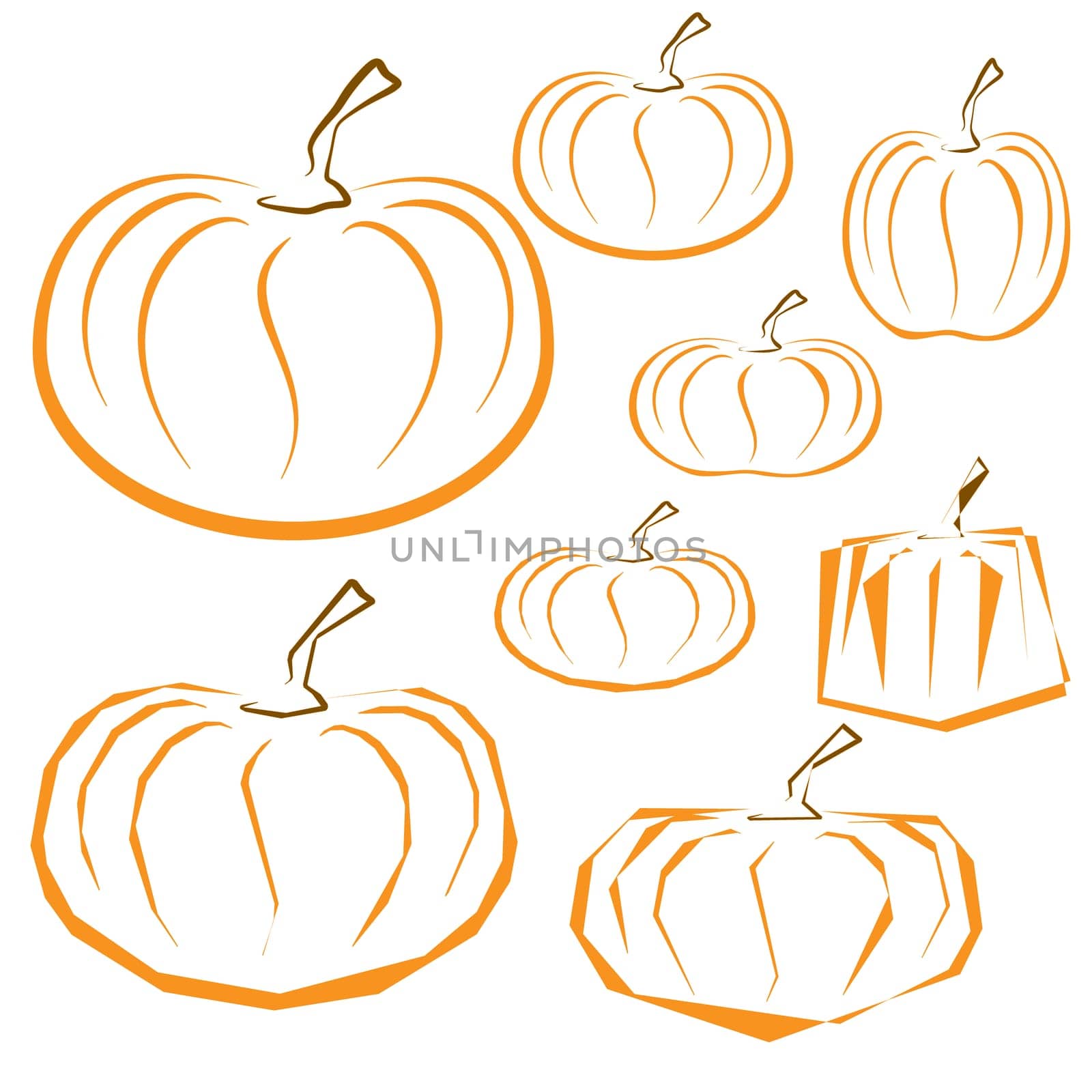 Vector outline pumpkins set on white background. Different shapes of pumpkins.