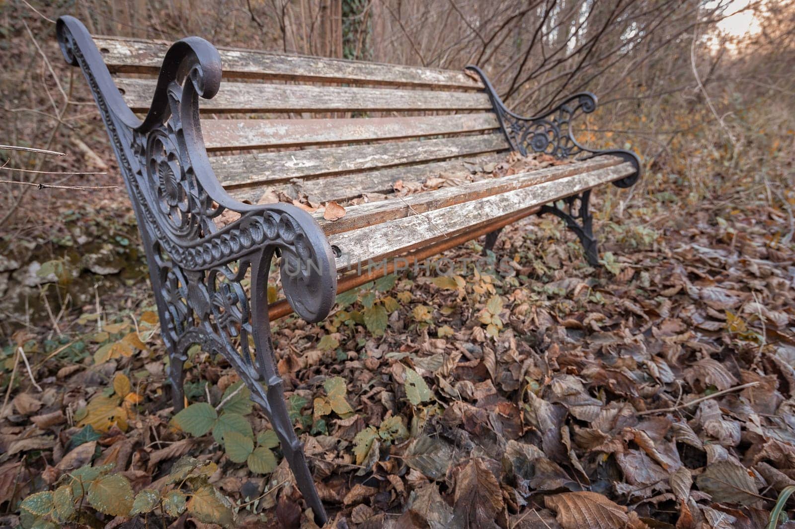 Bench in the Park in autumn season