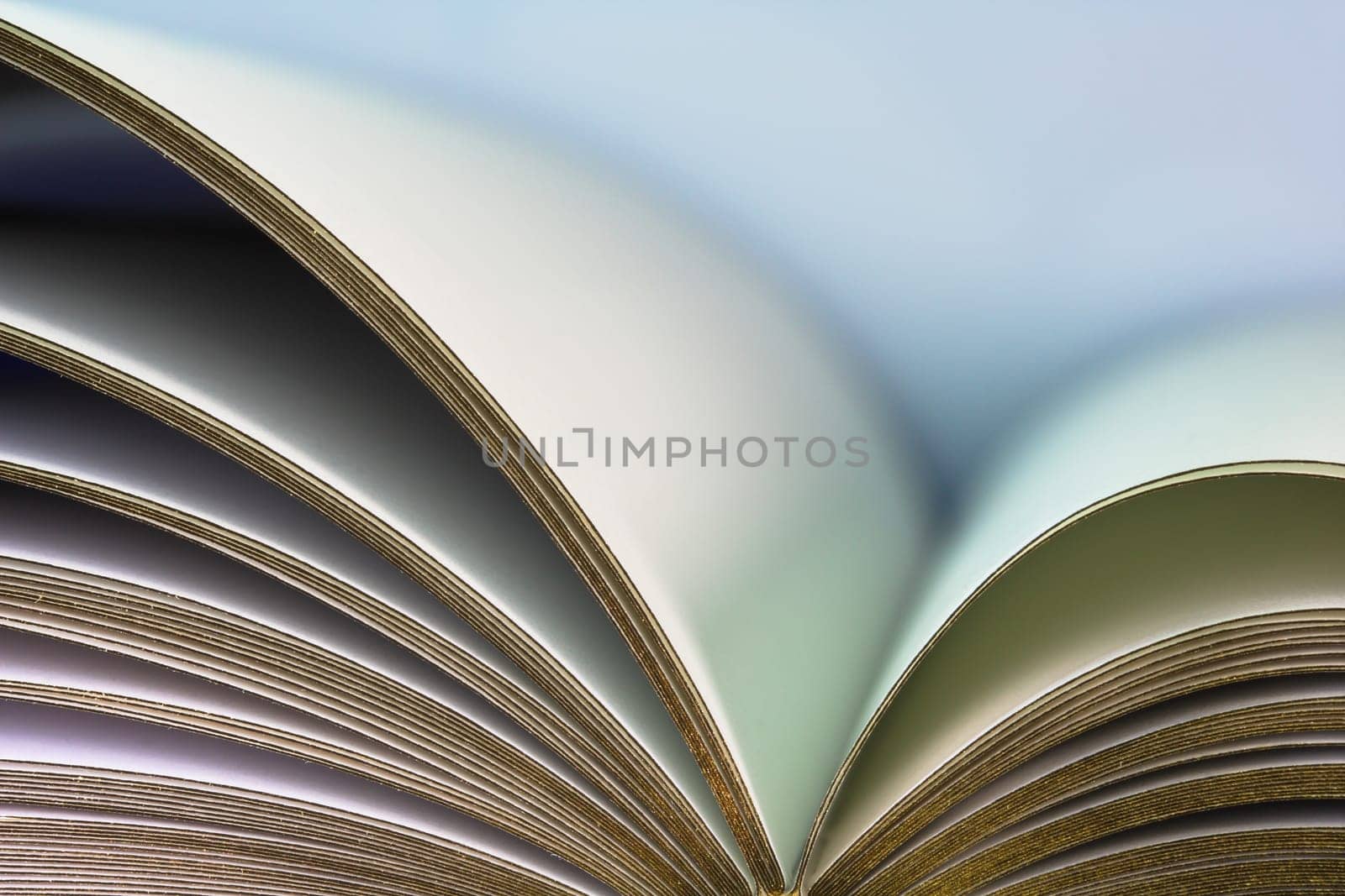 opened empty gold edge book