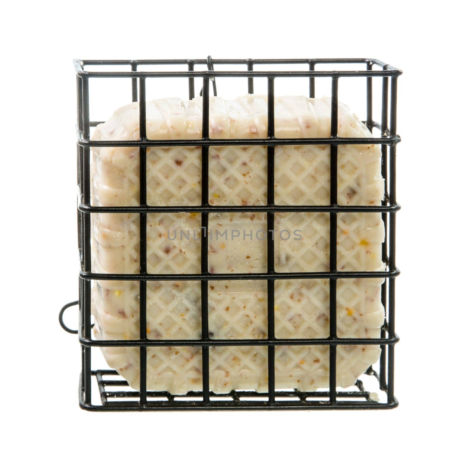 Isolated bird feeder filled with fat and suet rich in calories
