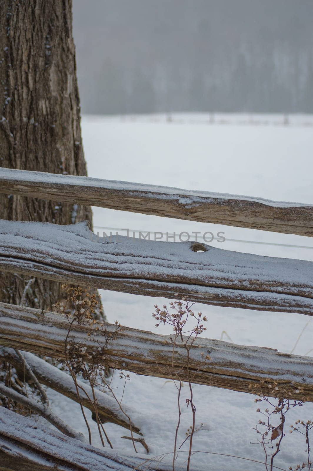 Wintery background of a split rail cedar fence with a sprinkle of snow and tree trunk close up.