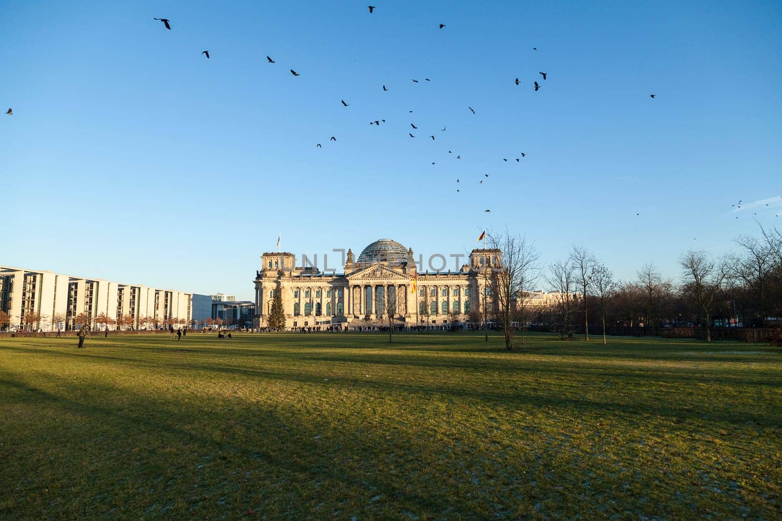 Bundestag and flock of birds in Berlin in winter
