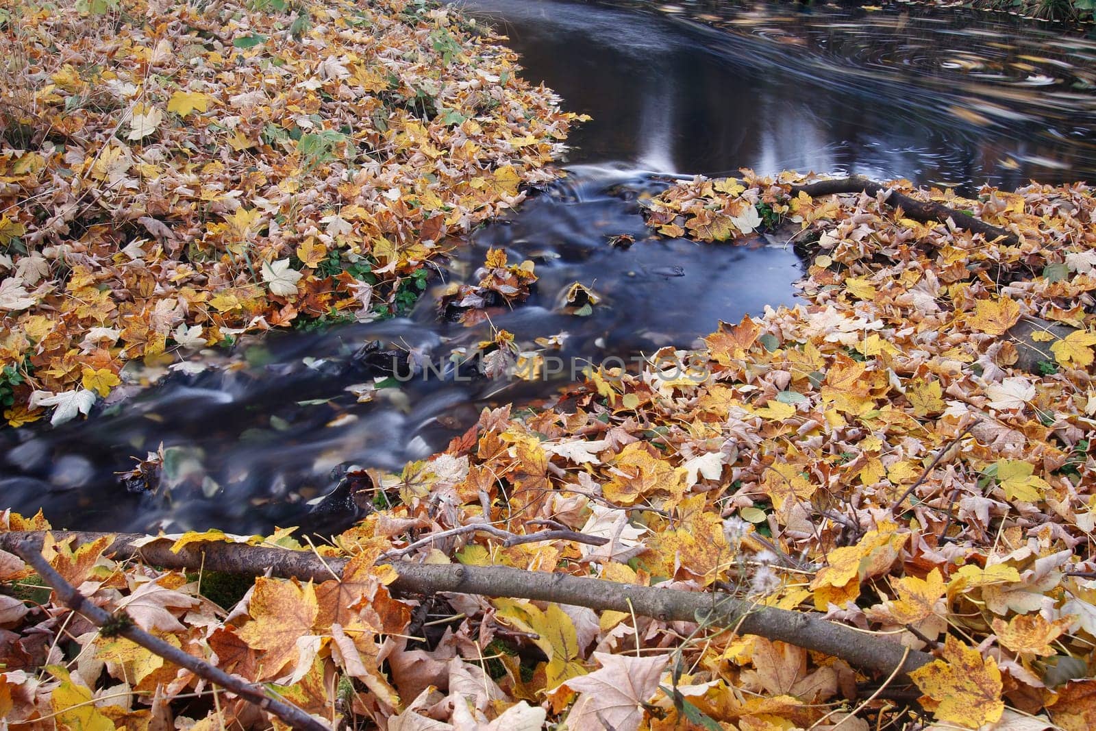 Abstract image stream and autumn leaves - long exposure