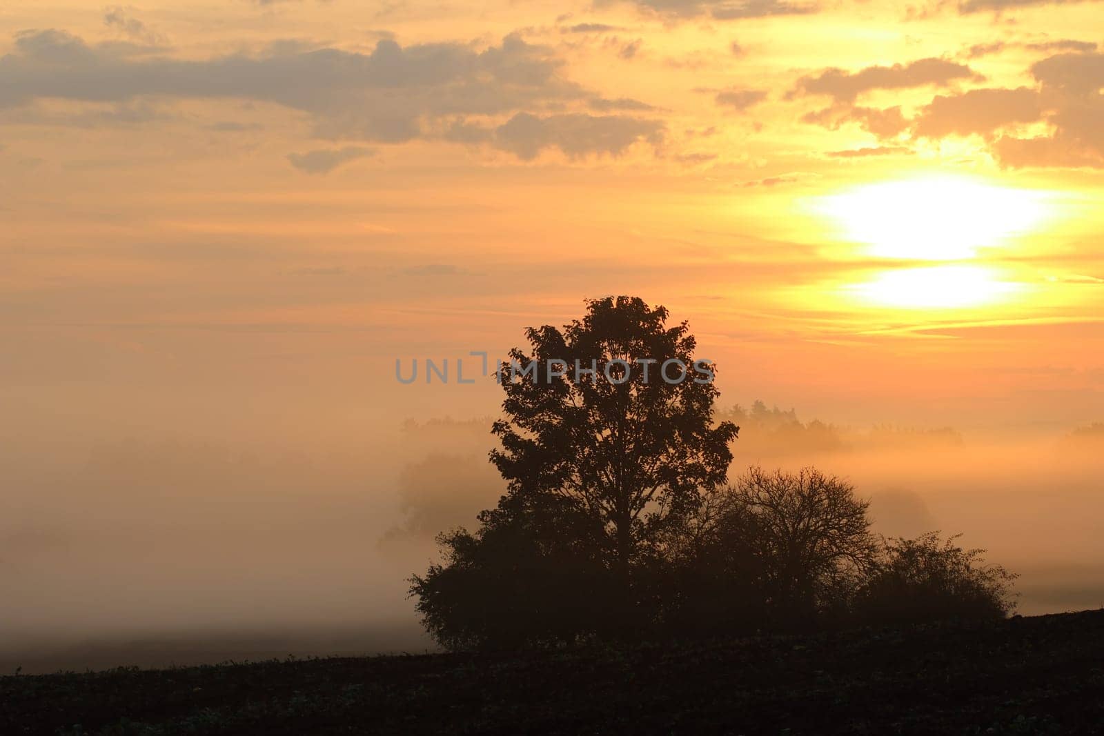 Image of the early morning sun over the rural countryside