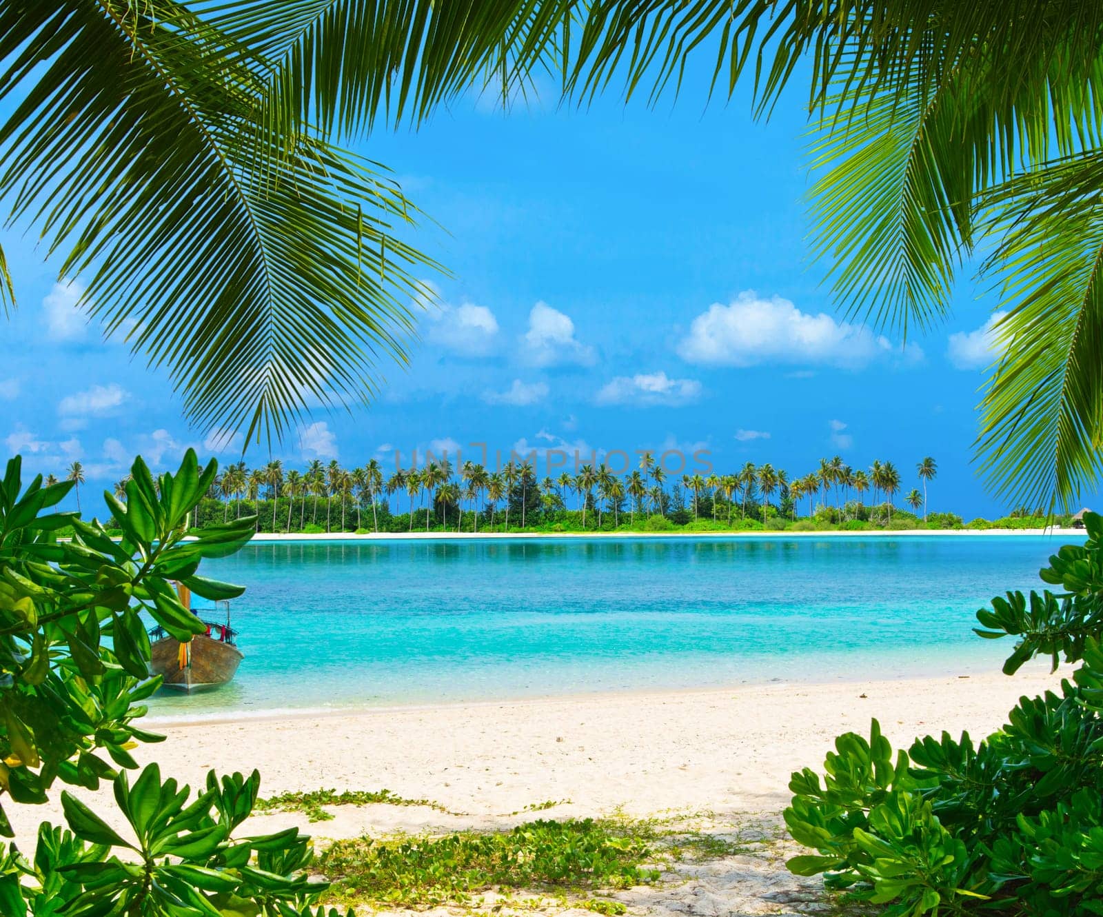 tropical beach in Maldives with few palm trees and blue lagoon