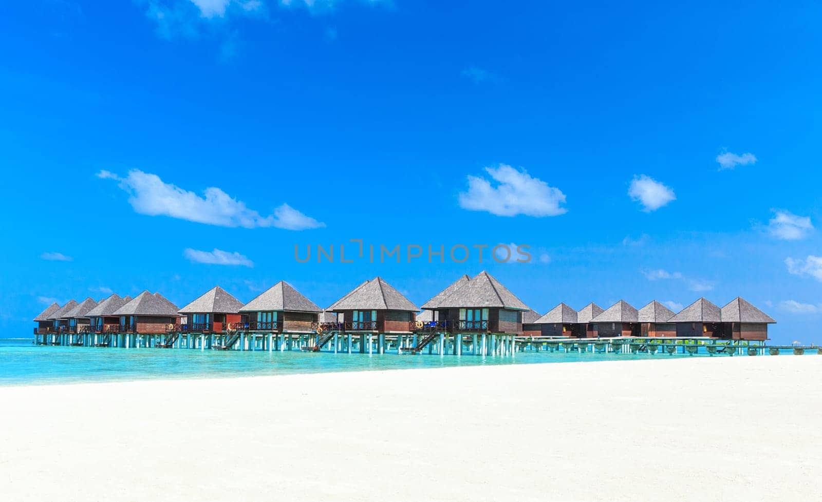 beautiful beach and tropical sea