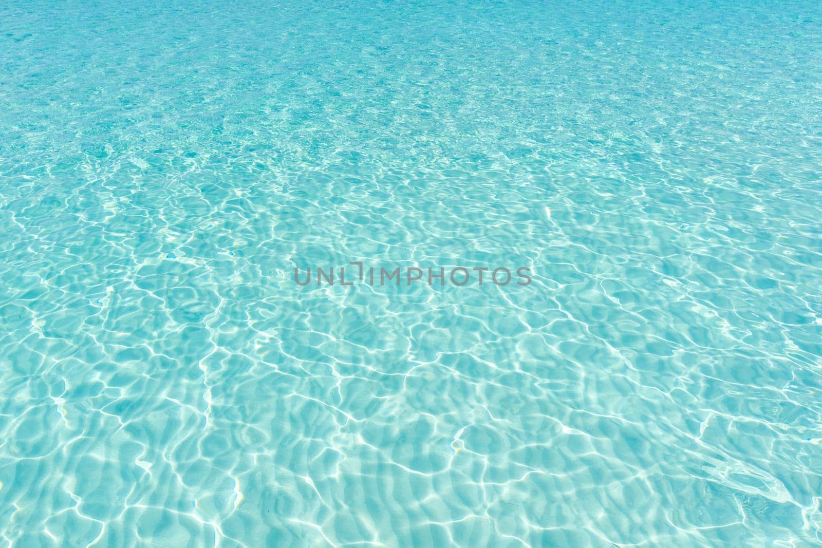Tranquil underwater scene with copy space..