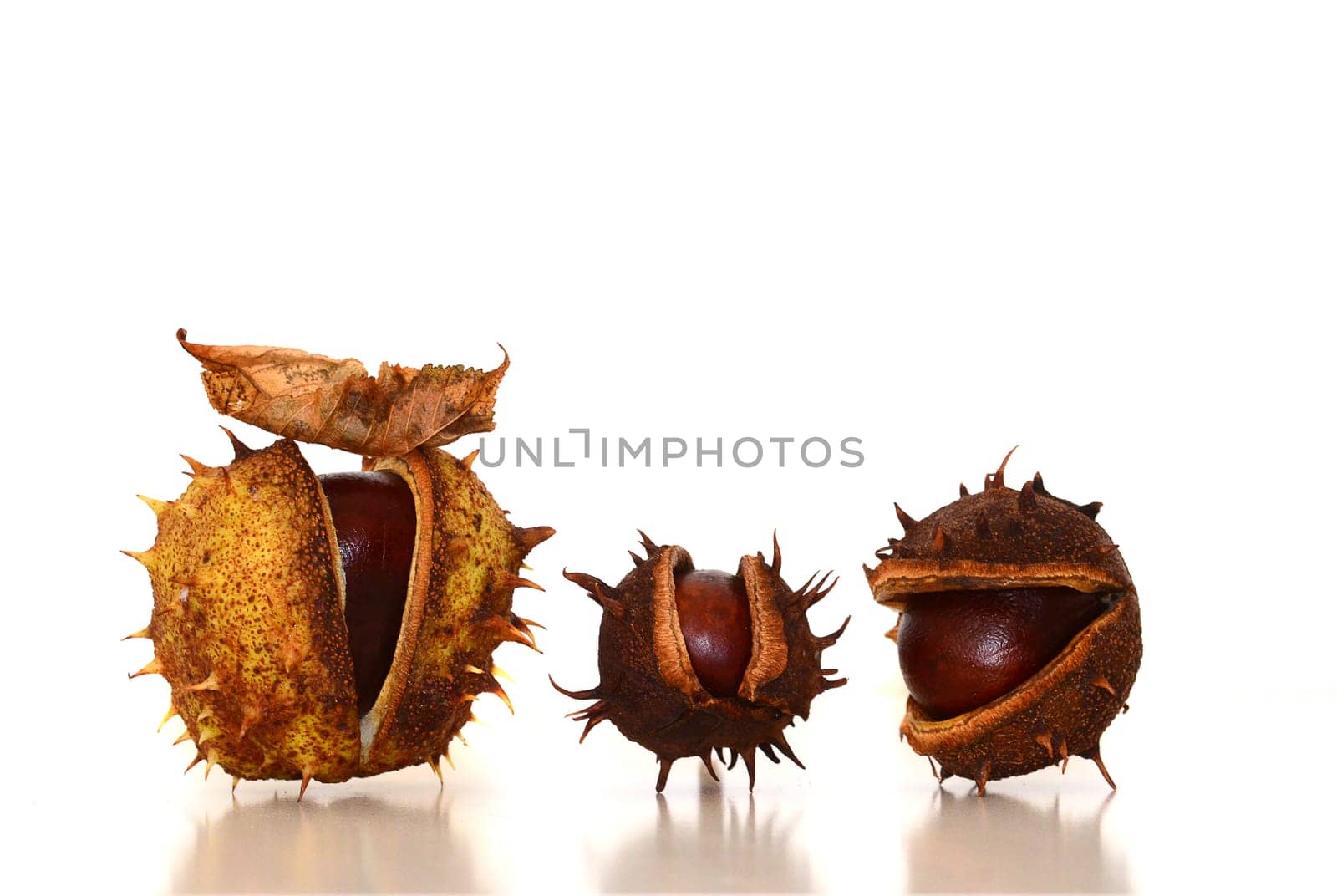 three chestnuts