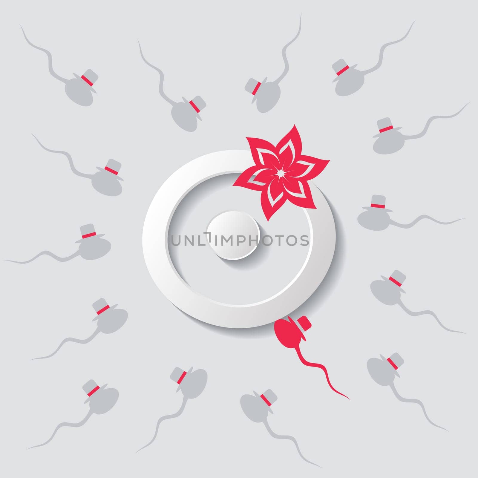 Elegant vector fertilization symbols egg and sperms
