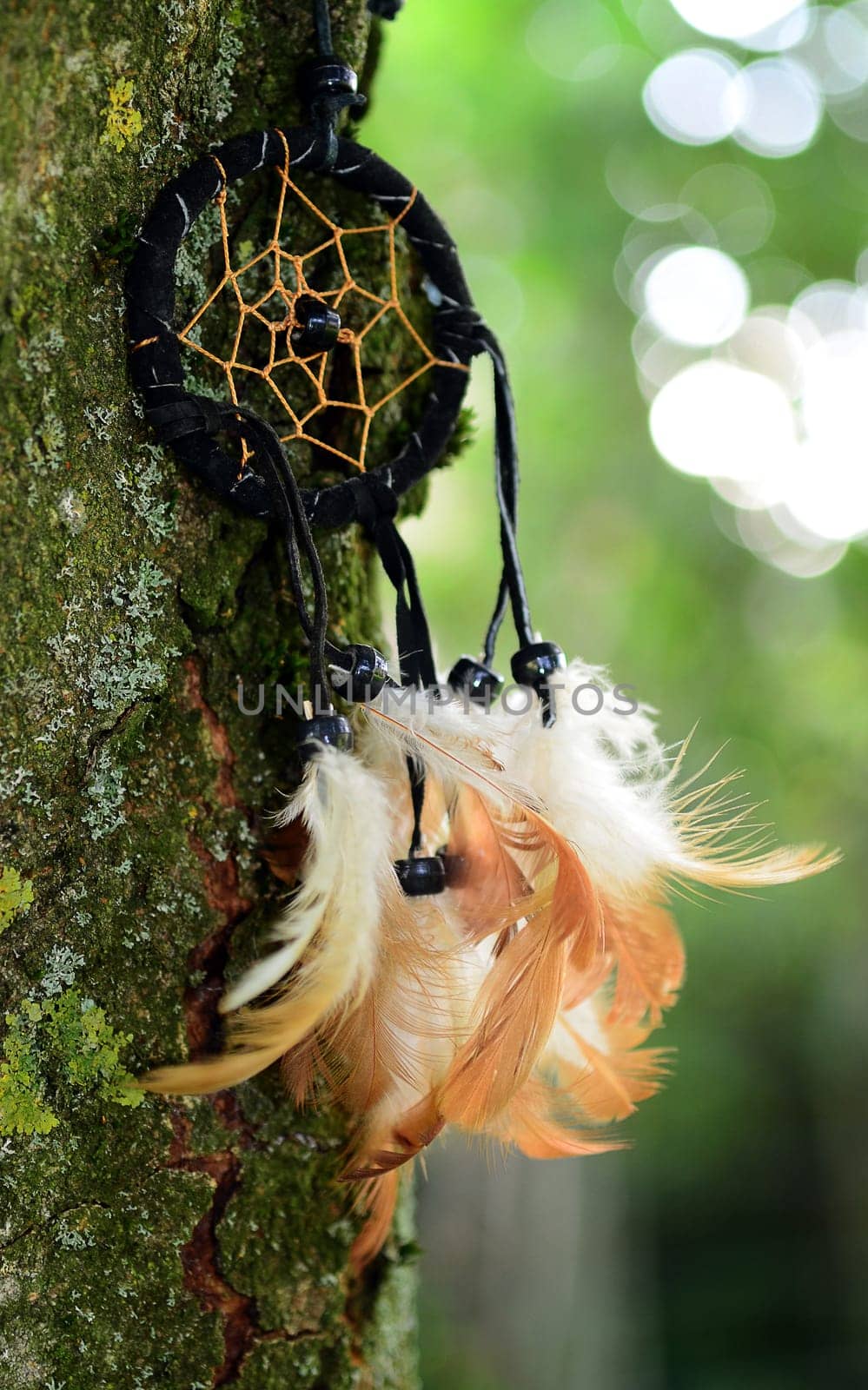 Dream Catcher