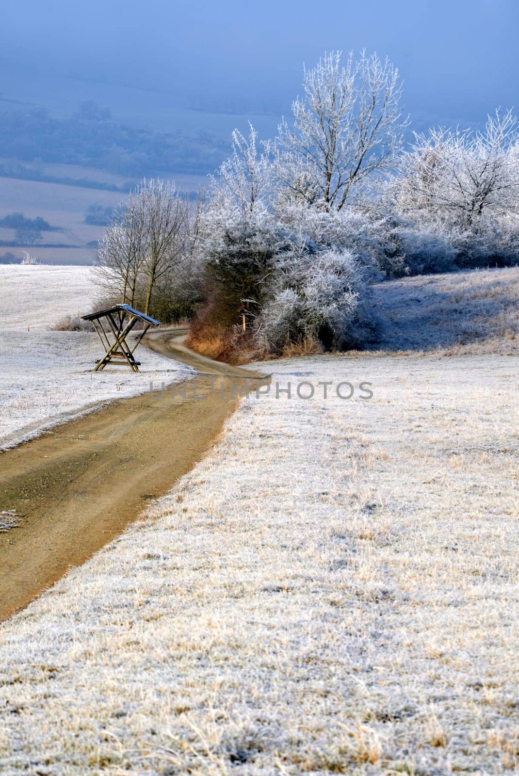 Winter