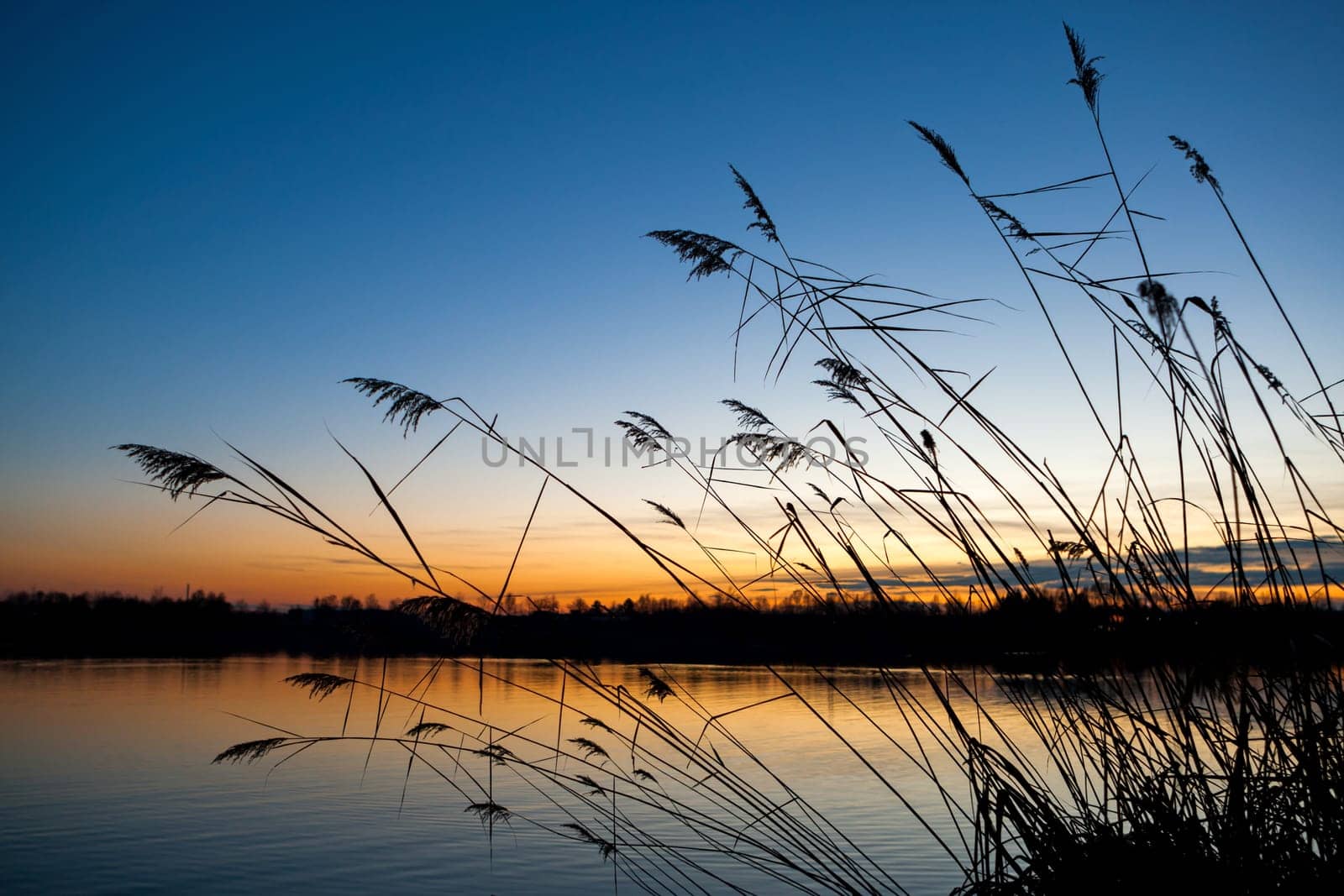sunset or (sunset beach) or (sunset nature) or (sunset skyline)