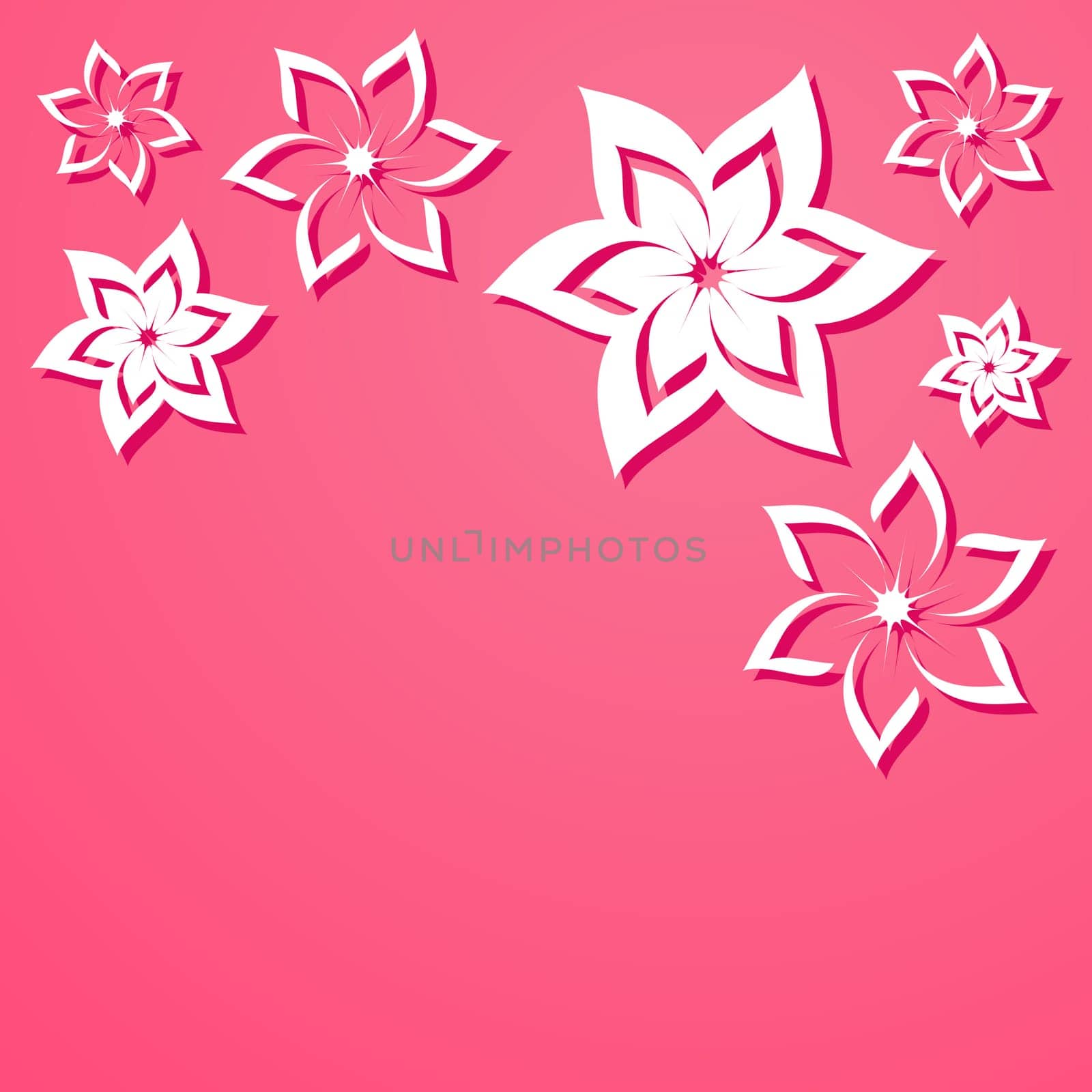 Pink vector background with beautiful white flowers