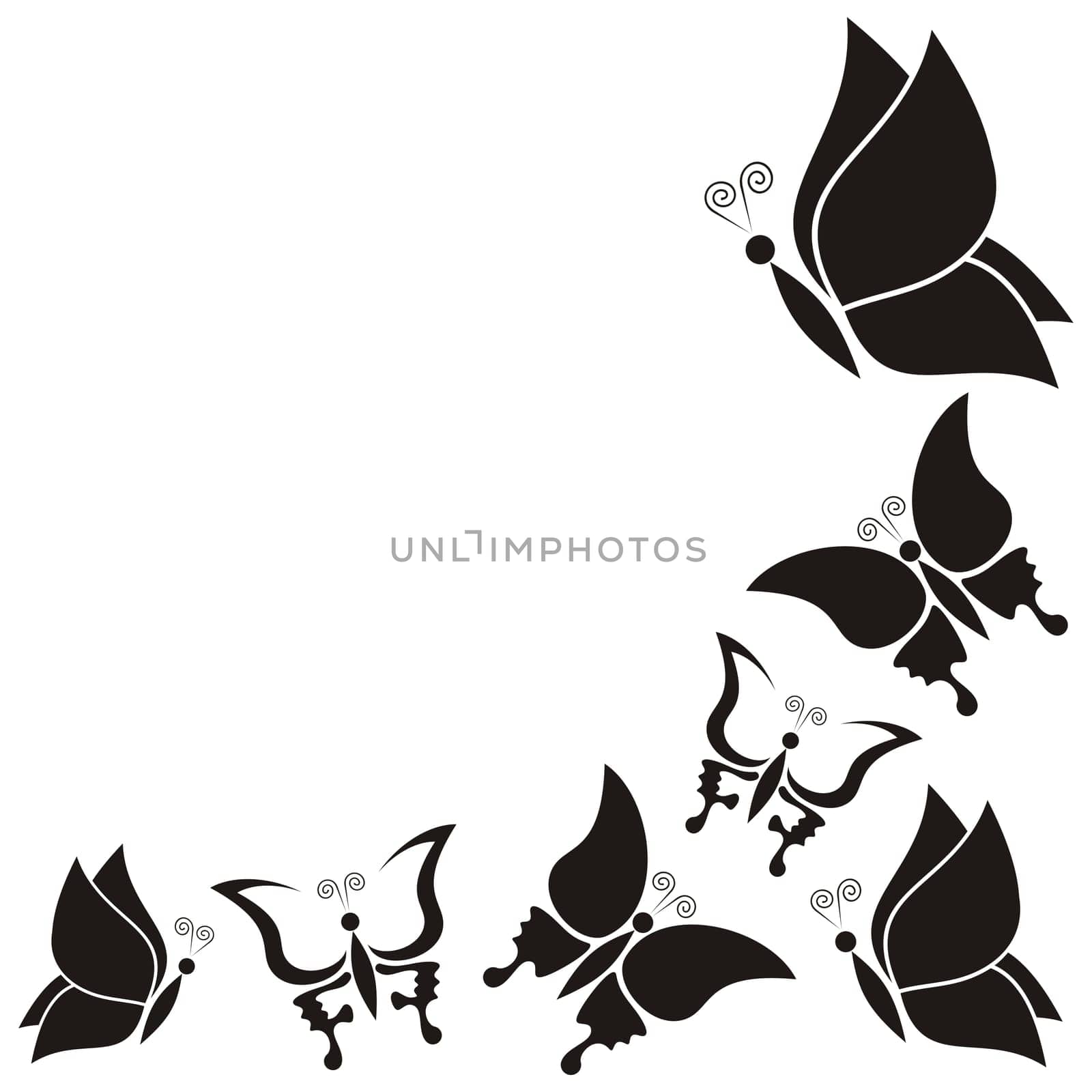 White vector background with diverse black butterfly silhouettes