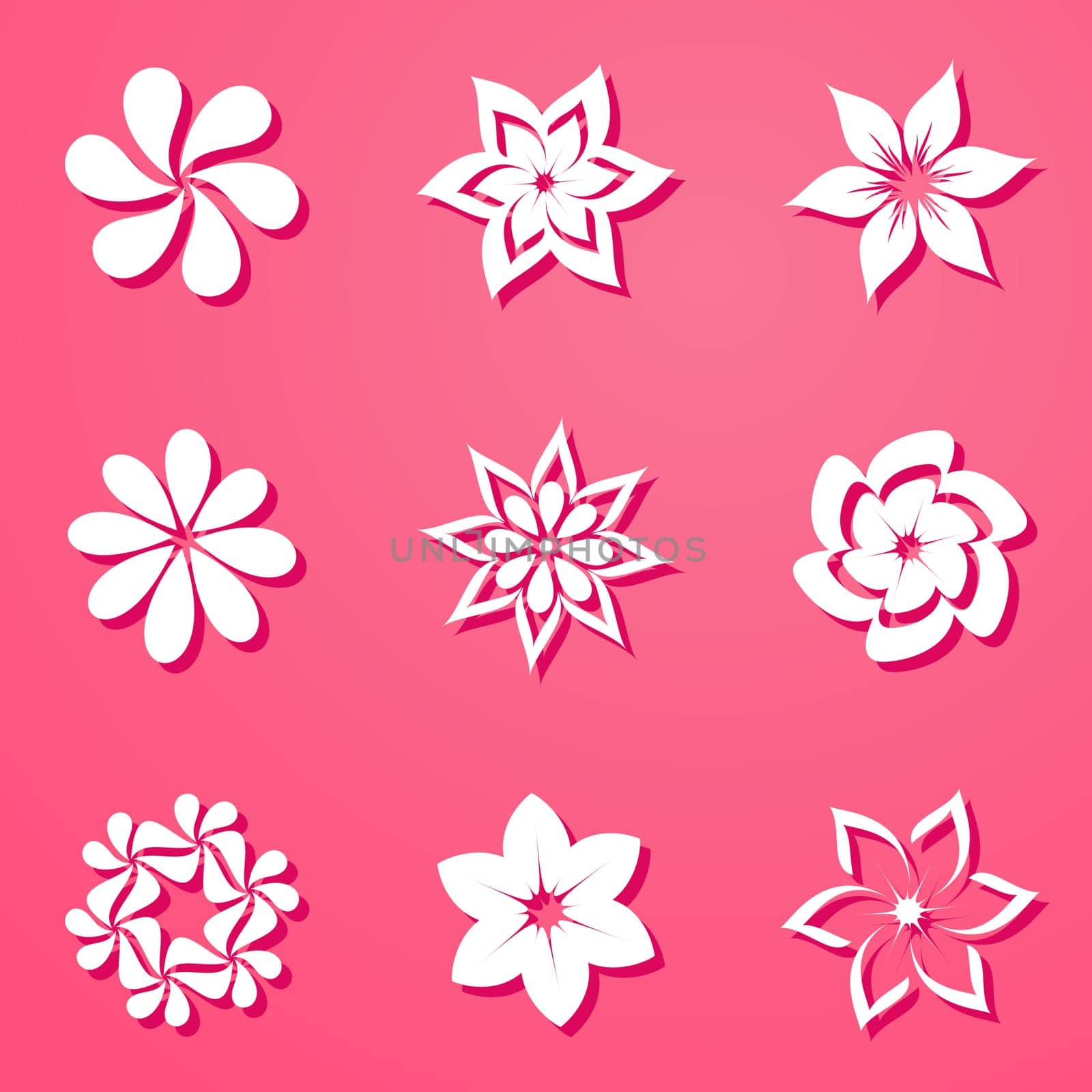 Set of beautiful white flowers on pink background