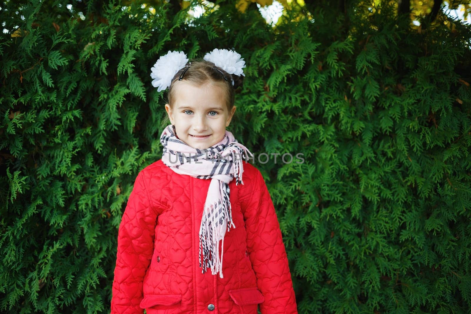 Smiling baby girl in a red jacket with white bows on her head. Child posing on a background of green arborvitae shrubs.