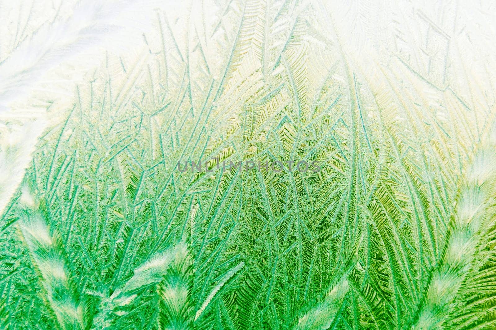 Beautiful frosty glass frostwork and ice flowers on window glass