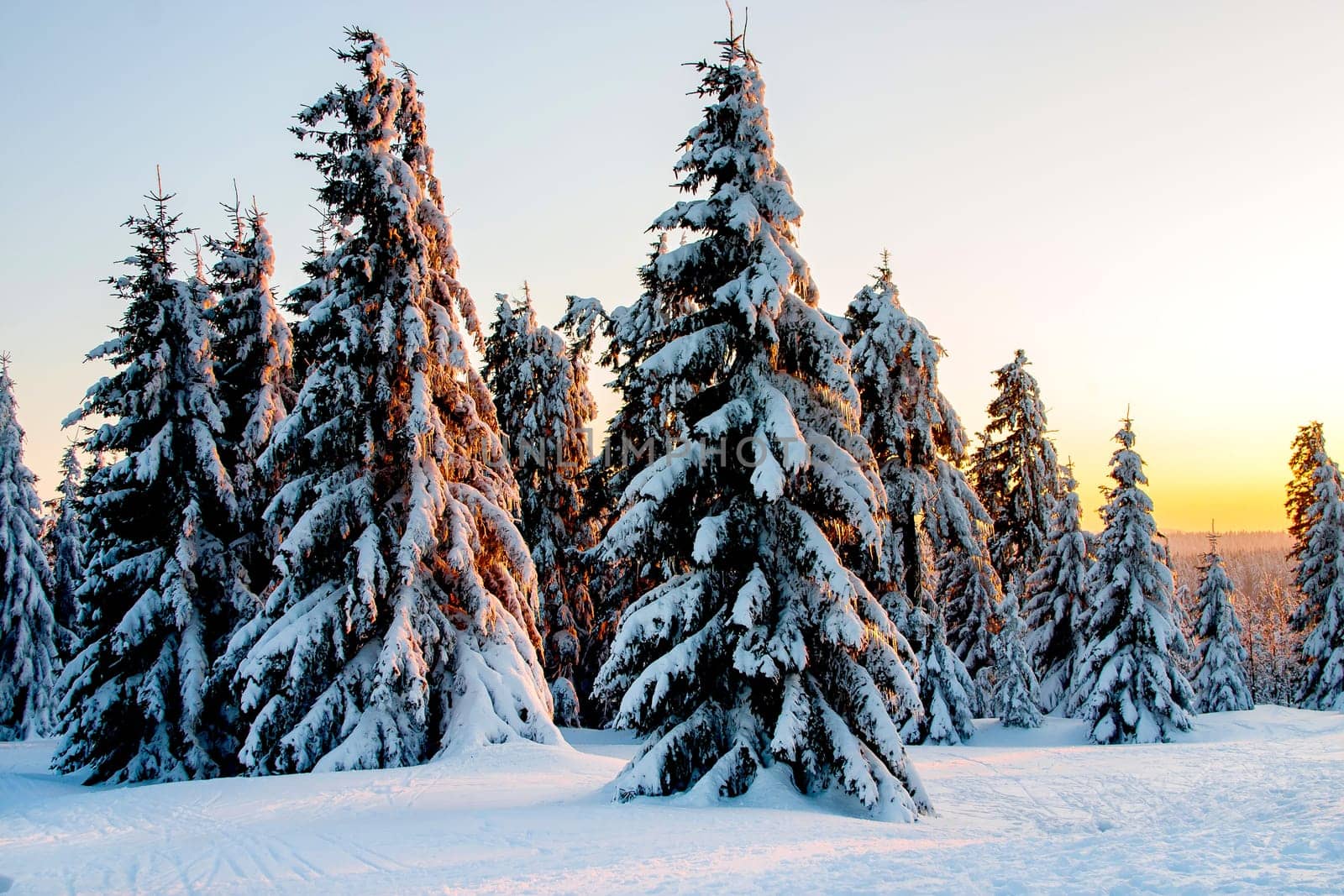 Resin in winter