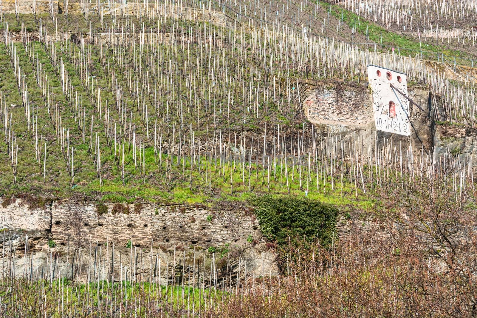 Wehlen sundial in the wine-growing village of Wehlen on the Moselle in Germany refers to a German vineyard.
