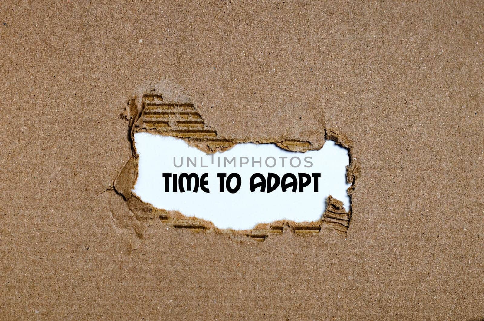 The word time to adapt appearing behind torn paper