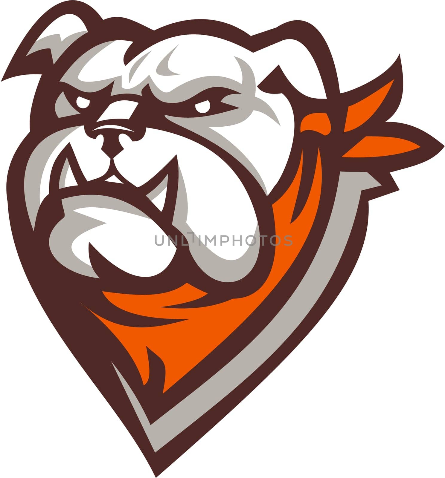 Illustration of an angry bulldog head wearing neckerchief set on isolated white background done in retro style.