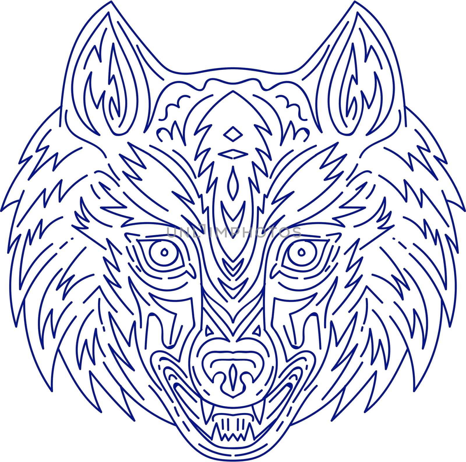 Mono line style illustration of a head of a grey wolf viewed from the front  set on isolated white background.