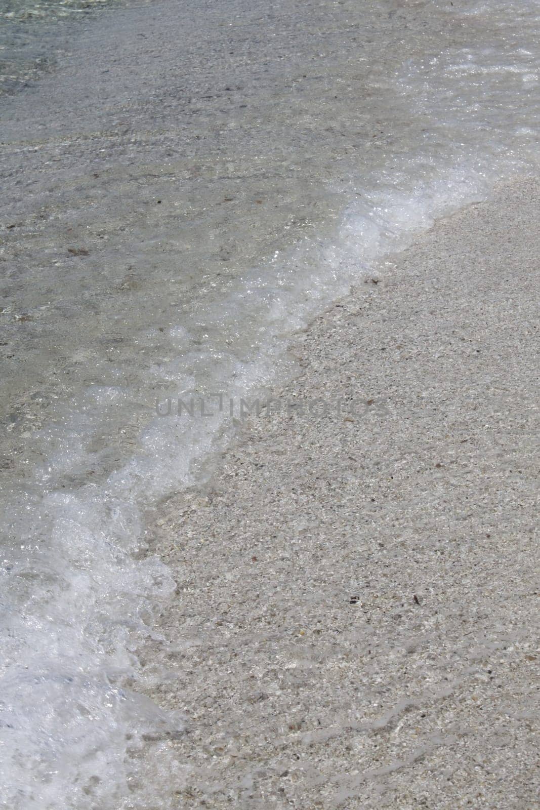 Waves on the beach