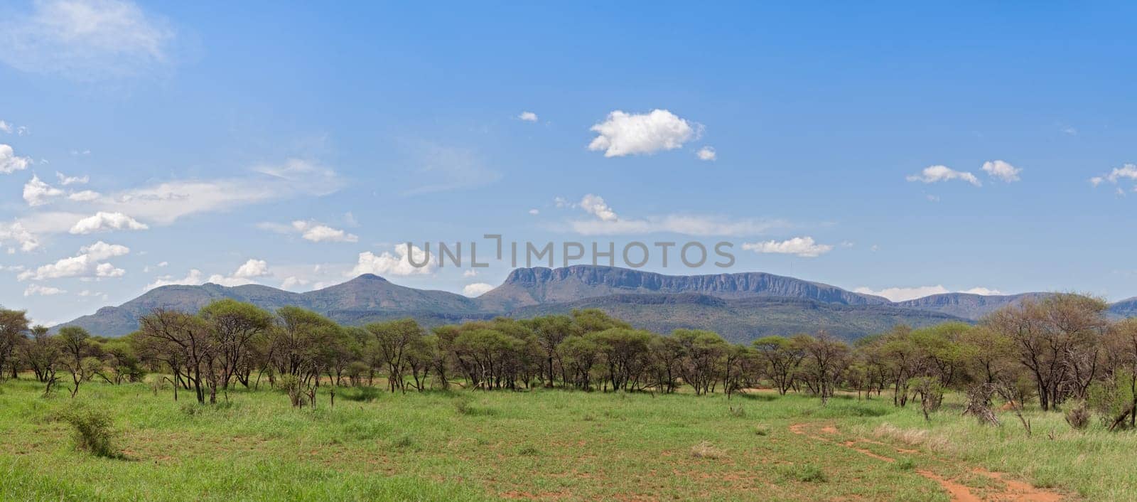 Panoramic view of a mountain range in Marakele National Park, South Africa