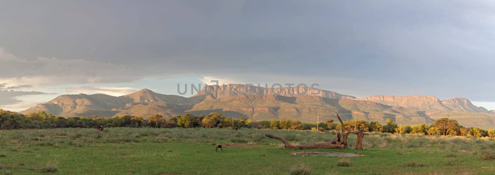 Panoramic view of a mountain range in Marakele National Park, South Africa