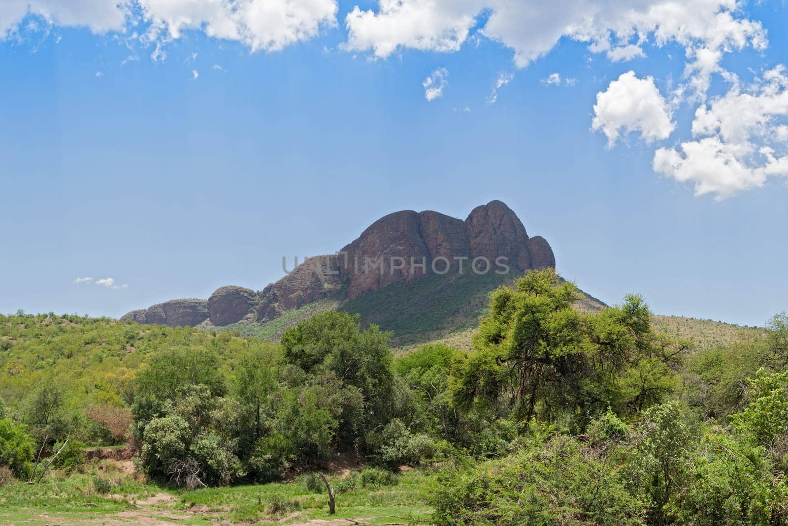 Landscape in the Marakele National Park, Limpopo, South Africa