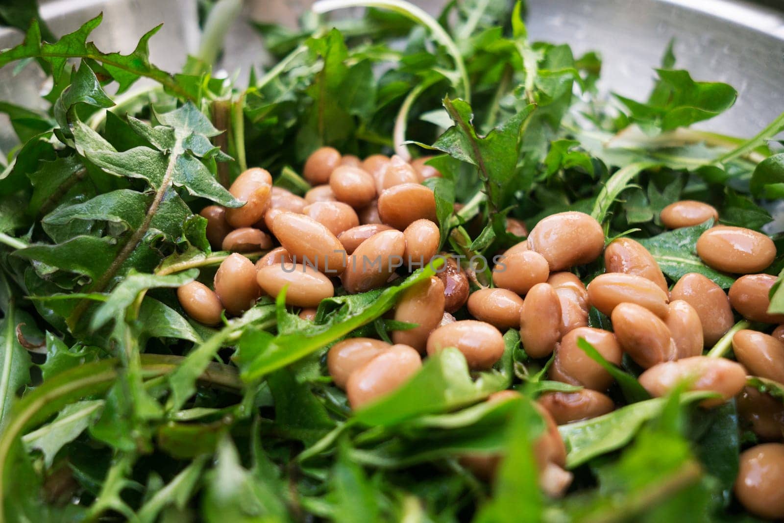 Fresh salad with dandelions and beans close up