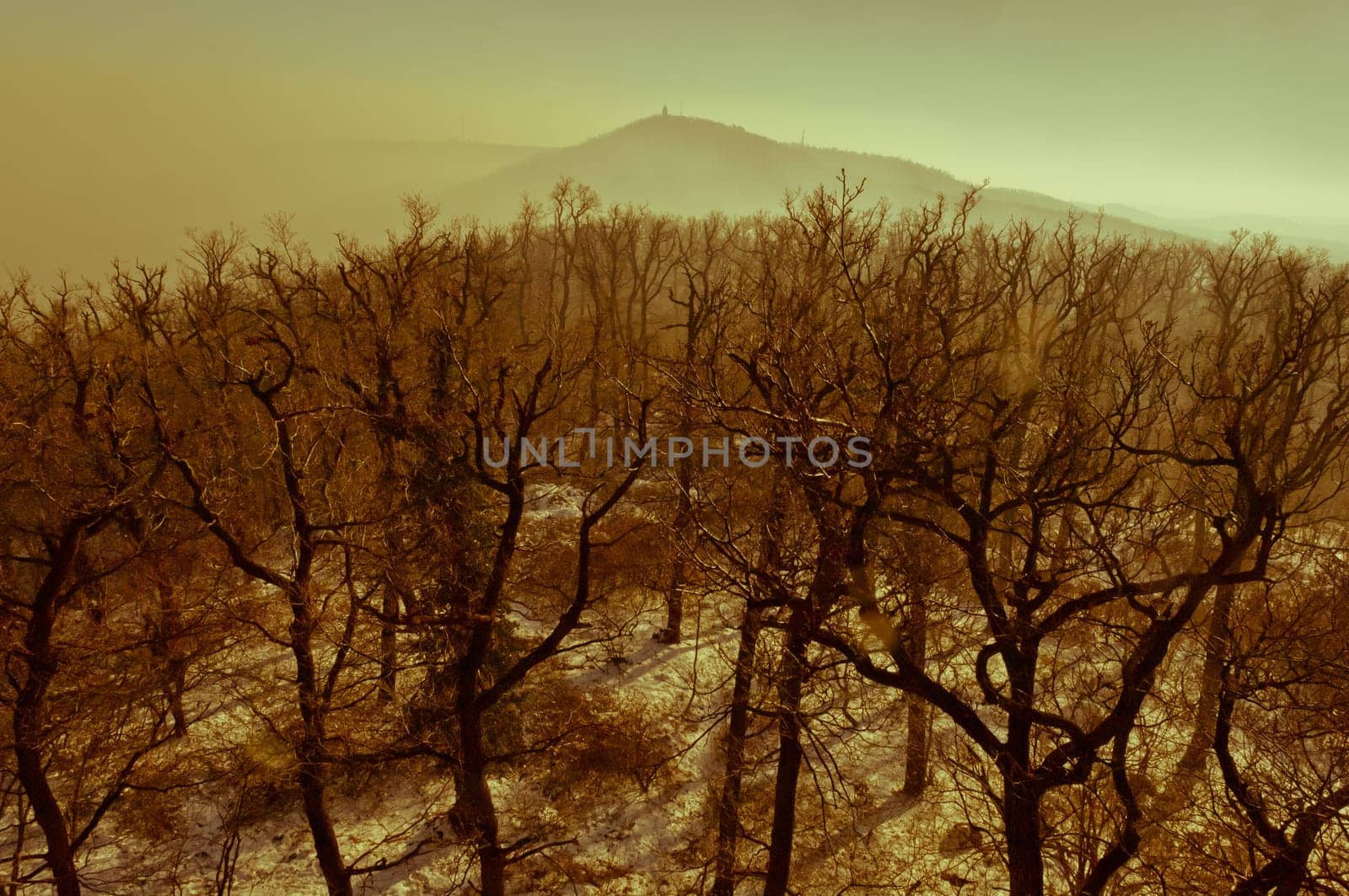 Smog over Budapest captured from the nearby Buda hills