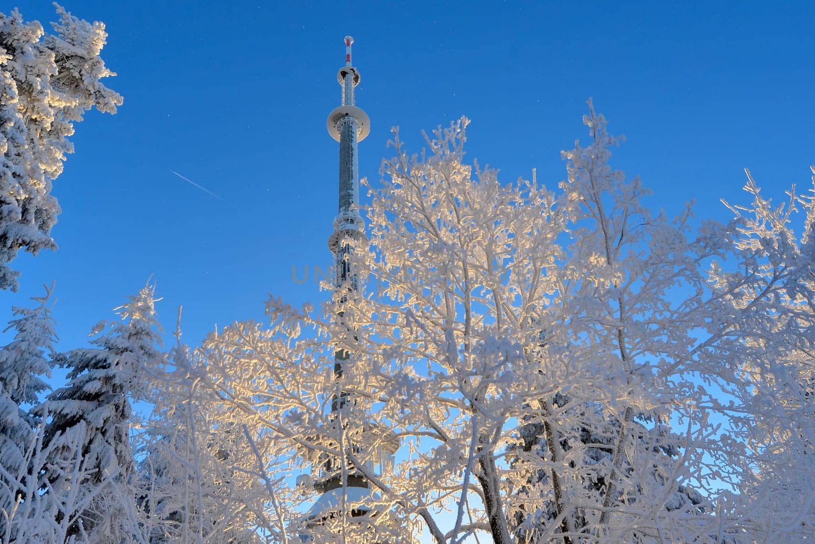 snowy winter landscape frosty cold