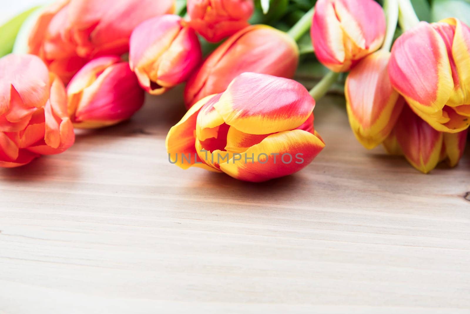 Beautiful red and yellow tulips on wooden table