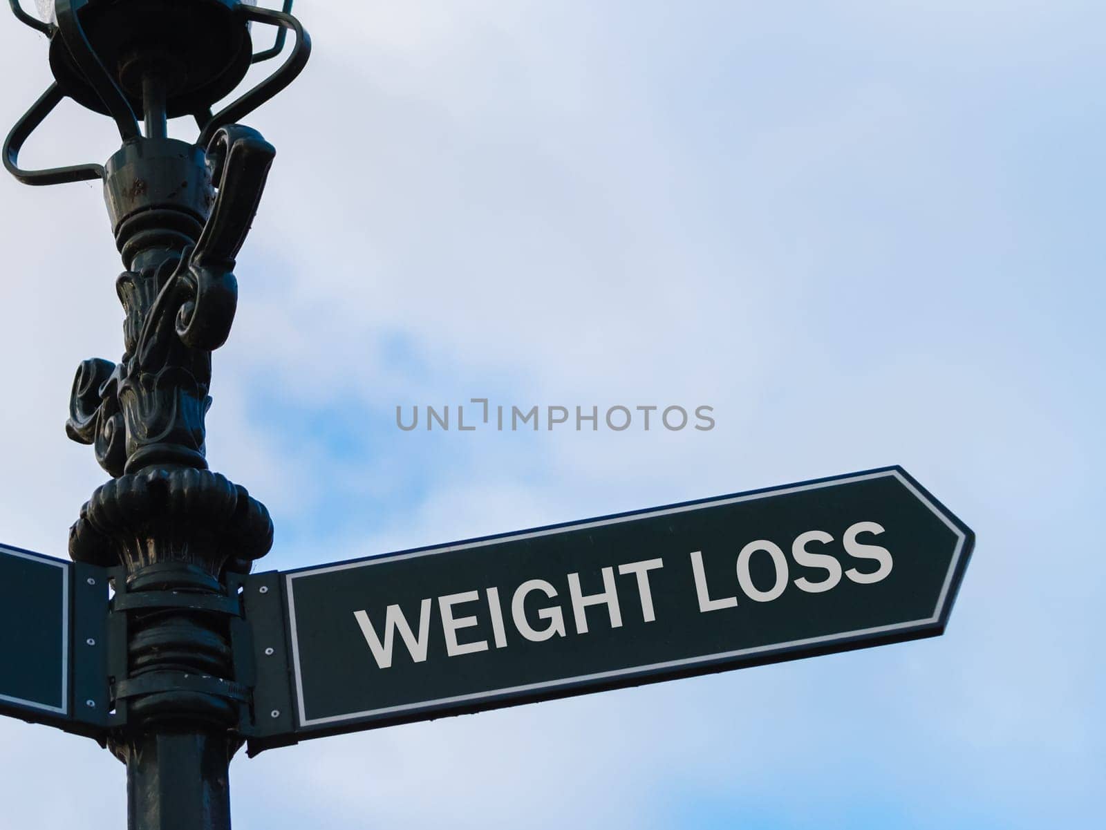 Street lighting pole with conceptual message WEIGHT LOSS on directional arrow over blue cloudy background.