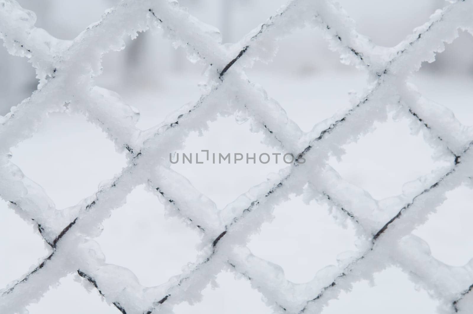 Freezing rain or sleet covered this fence in an urban area