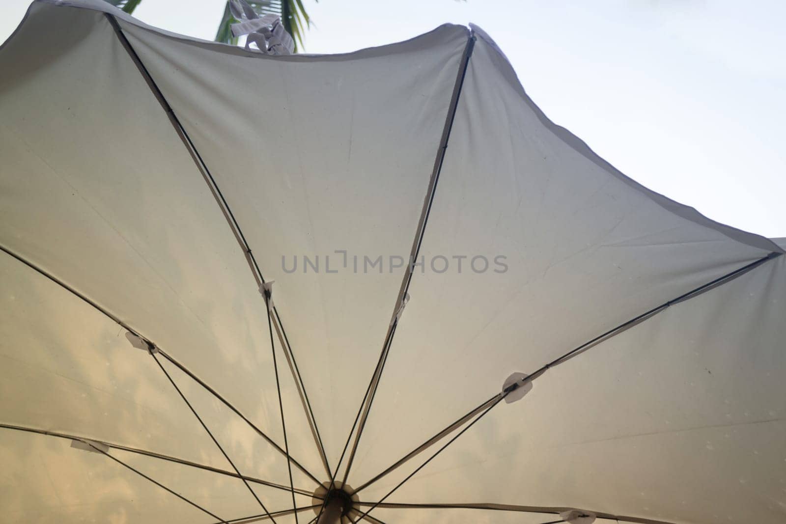 White umbrella in the garden, stock photo