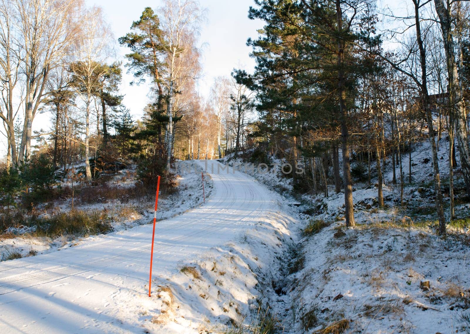 one road in sweden with snow on a sunny day