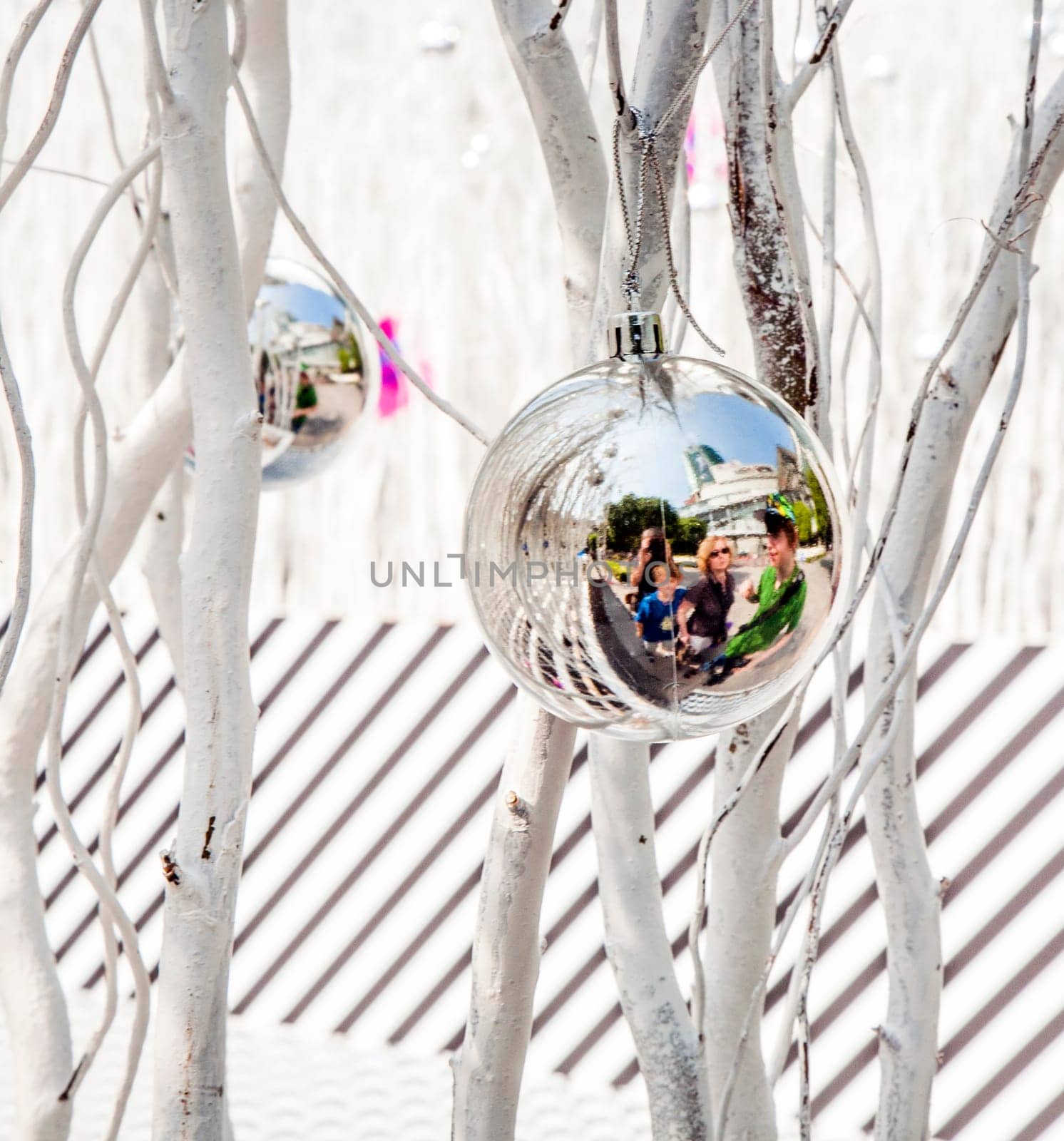 white painted branches give a harmonic background with chrismas tree balls and mirroring of a family