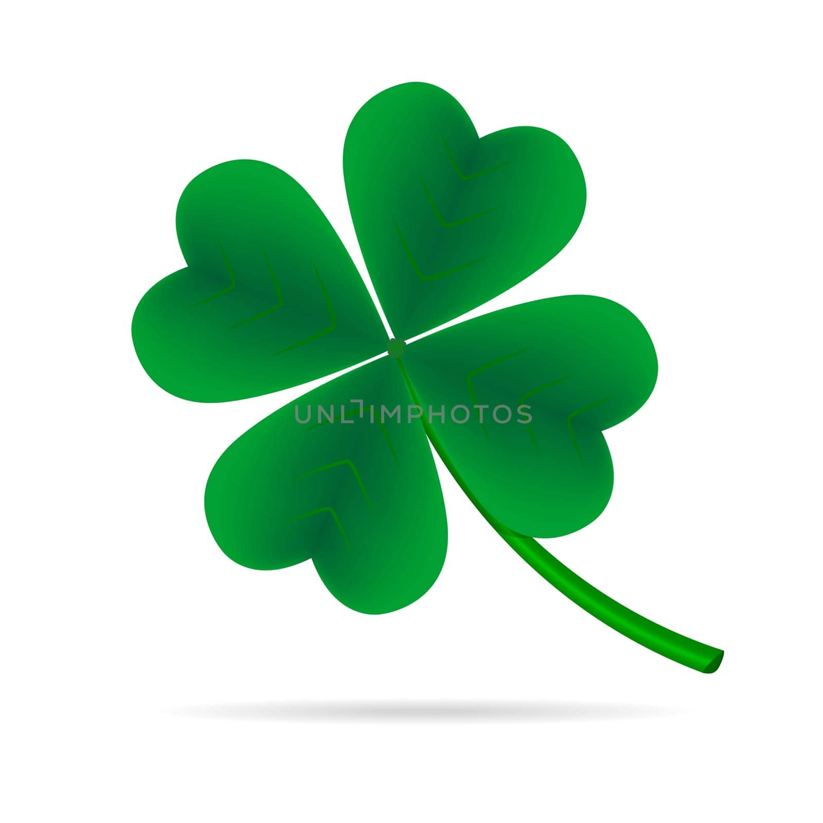Leaf clover on a white background. Green cloverleaf.