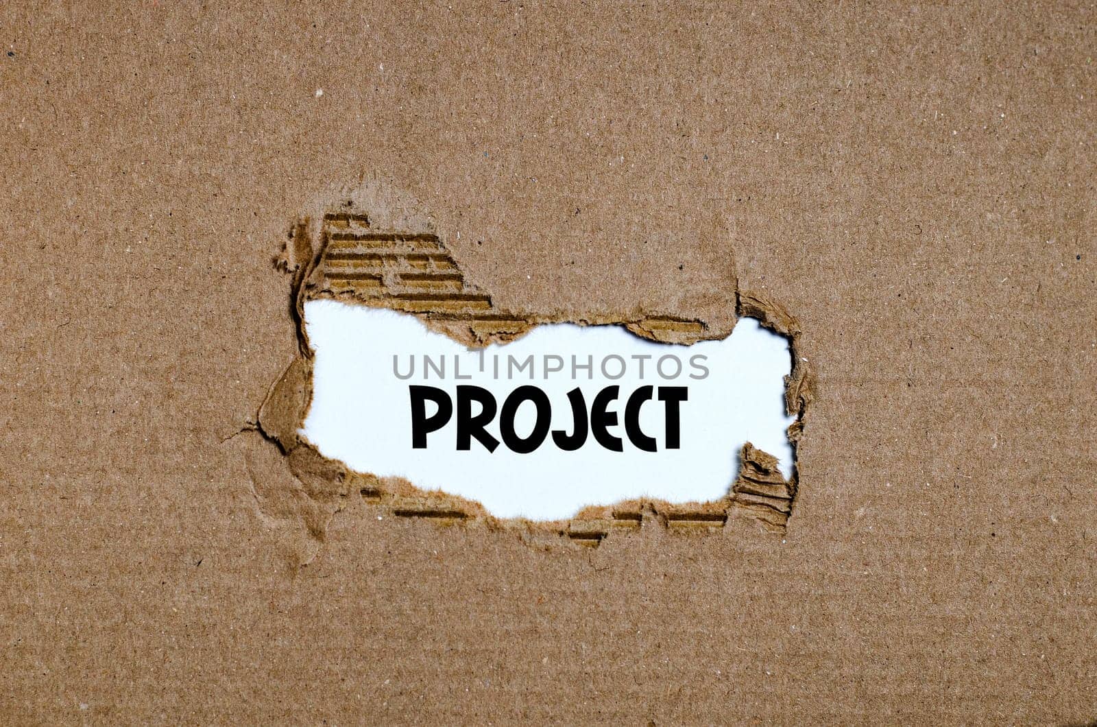 The word project appearing behind torn paper