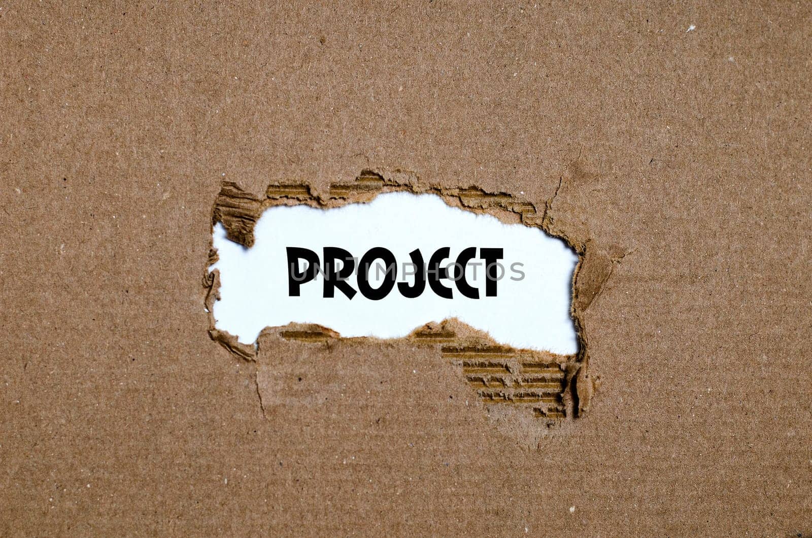The word project appearing behind torn paper